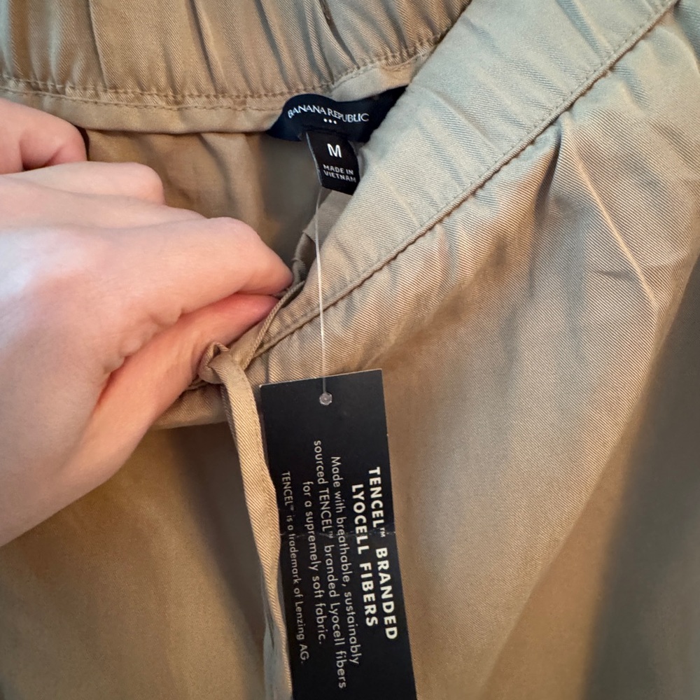 Banana Republic Tensel Cargo Jogger Pants with Elastic Waistband - Picture 3 of 6